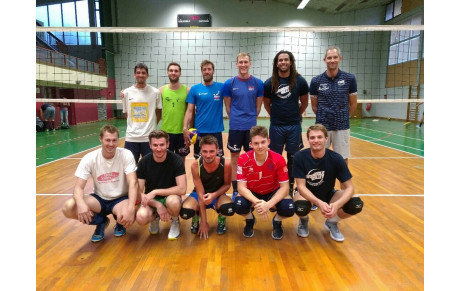 Elite M : Article LSD 03/09/2017