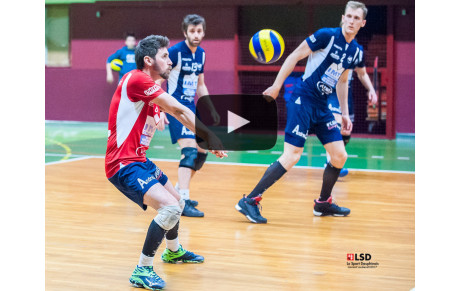 Elite M : Article LSD du 19/11/2017